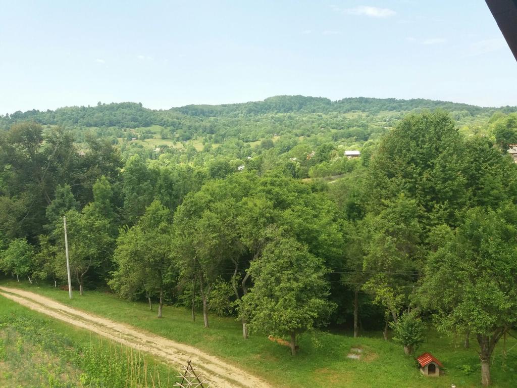 Casa Dobrin Hotel Арефу Екстериор снимка